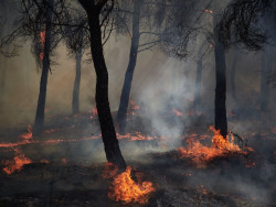 16 carreteras de cinco CCAA permanecen cortadas por los incendios, todas secundarias