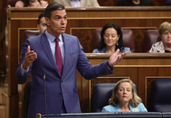 A S&aacute;nchez en la sesi&oacute;n de control del Congreso se le nota noqueado