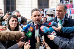 Abascal reivindica a Vox como la "alternativa" para Andaluc&iacute;a y replica a Casado que no teme el "veredicto" de las urnas