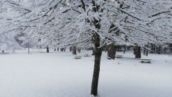 Abril llega con nieve, viento y oleaje que afectar&aacute;n al tercio norte y el este de la Pen&iacute;nsula y Baleares