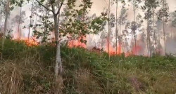Activo un incendio en Arenas de Igu&ntilde;a y controlados los de Lamas&oacute;n, Molledo y Pe&ntilde;acabarga