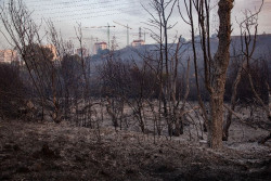 AEMET avisa de posibles tormentas secas en pr&oacute;ximos d&iacute;as, que hacen que el fuego se origine y se propague en poco tiempo