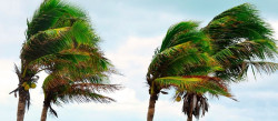 Alerta m&aacute;xima por rachas de viento huracanadas que podr&aacute;n superar los 130 km/h este jueves en La Palma y Tenerife