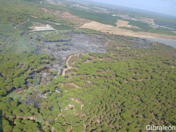 Ampl&iacute;an los medios a&eacute;reos en las tareas de extinci&oacute;n del incendio declarado en Gibrale&oacute;n
