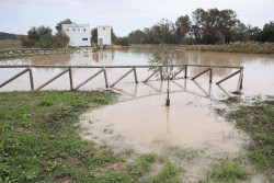 Andaluc&iacute;a reduce a ocho las carreteras cerradas o con cortes de tr&aacute;fico por los efectos de la DANA, 5 en C&aacute;diz