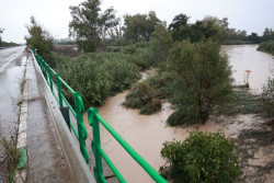 Andaluc&iacute;a supera 13.600 incidencias desde el inicio del tren de borrascas y mantiene 73 carreteras cortadas
