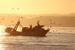 Andaluc&iacute;a ve "inasumible" la propuesta de Bruselas sobre d&iacute;as de pesca en el Mediterr&aacute;neo y pide su retirada