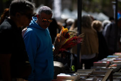 Autores y p&uacute;blico se citan de nuevo en "el peque&ntilde;o milagro" de Sant Jordi: "Es una bendita locura"
