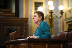 Bildu ve "l&oacute;gico" que el TC avale la ley de amnist&iacute;a del proc&eacute;s y conf&iacute;a en que "sea preludio del final del conflicto"