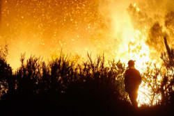 Bola&ntilde;os avanza que el Gobierno trabaja para "agilizar" las ayudas a los afectados por los incendios
