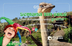 Cab&aacute;rceno celebra la `Semana sin cole` con actividades l&uacute;dicas y did&aacute;cticas
