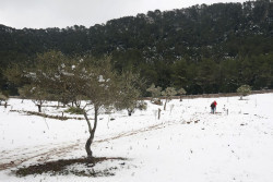 Cantabria seguir&aacute; ma&ntilde;ana en alerta por nieve