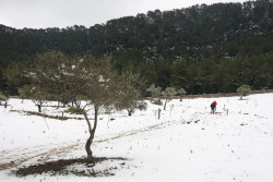Cantabria sigue este martes en alerta por nieve
