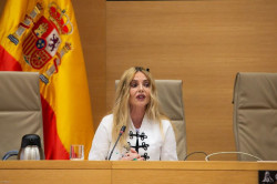 Carmona (CGPJ) llama en el 25N a la unidad del Pacto de Estado y a no usar la violencia machista "con fines pol&iacute;ticos"
