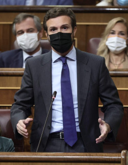 Casado enmienda  los Presupuestos porque son "garant&iacute;a de la ruina en Espa&ntilde;a"