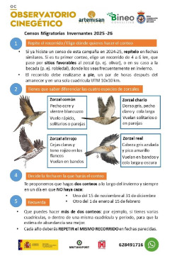 Cazadores inician este s&aacute;bado la nueva campa&ntilde;a de censos de aves migratorias invernantes