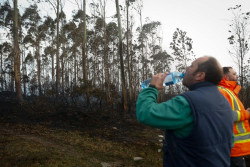 CERTICANT llama a proteger los bosques: "El fuego no se combate solo con mangueras"