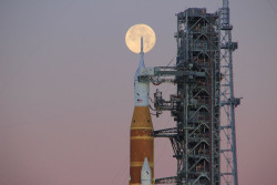 Comienzan los preparativos para el lanzamiento de la misi&oacute;n Artemis II