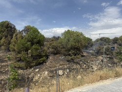 Cuatro helic&oacute;pteros y 14 dotaciones trabajan para controlar un incendio en Torrelodones