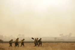 CyL registra 16 incendios activos, seis en gravedad 2 en Zamora, Palencia y Le&oacute;n y tres en nivel 1 en Le&oacute;n