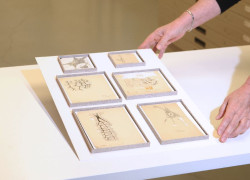 Descubren seis dibujos originales de Ram&oacute;n y Cajal que llevaban d&eacute;cadas en el Museo Anat&oacute;mico de Valladolid