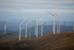 Ecologistas denuncia la "burbuja" de las renovables y pide reducir el consumo energ&eacute;tico para una transici&oacute;n "justa"