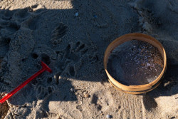 Ecologistas en Acci&oacute;n demanda a la naviera y al capit&aacute;n del buque que provoc&oacute; el vertido de pellets en la costa gallega