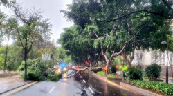 El 112 Canarias atiende durante la noche m&aacute;s de un centenar de incidencias por las lluvias