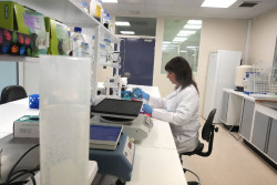 El 13,2% de inventores en Europa son mujeres, el 23,6% en Espa&ntilde;a, seg&uacute;n un estudio de la Oficina Europea de Patentes