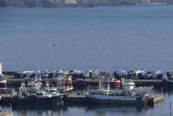 El 87% de espa&ntilde;oles quiere que el Gobierno asigne m&aacute;s cuotas a los pescadores de peque&ntilde;a escala, seg&uacute;n Oceana