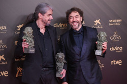 `El buen patr&oacute;n` logra 6 premios sin batir r&eacute;cords, `Las leyes de la frontera` tiene 5 y Almod&oacute;var se va de vac&iacute;o