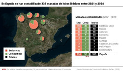 El censo del lobo cifra en 333 las manadas en Espa&ntilde;a, 12% m&aacute;s que en 2014, pero sin alcanzar las 500 para su viabilidad
