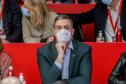 El CIS de Tezanos da ganador al PSOE que con la Plataforma de ultraizquierda, independentistas y Bildu obtendr&iacute;an mayor&iacute;a absoluta