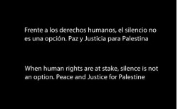 El CIS de Tezanos dice que  58% de los espa&ntilde;oles apoya el mensaje de RTVE a favor de Palestina antes de Eurovisi&oacute;n, 