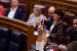 El Congreso fusiona las dos comisiones que cre&oacute; sobre el apag&oacute;n y podr&aacute; empezar a investigar, diez meses despu&eacute;s