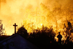 El CSIC da apoyo cient&iacute;fico-t&eacute;cnico en las zonas afectadas por los incendios forestales