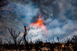 El fuego arrasa 60.518 hect&aacute;reas en una semana, hasta las 229.256, cuatro veces m&aacute;s de la media de la d&eacute;cada
