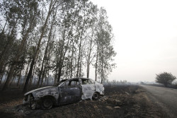 El fuego de Canaleja (Le&oacute;n) avanza hacia Guardo y arrasa los pinares de Riocamba pese al intenso trabajo nocturno