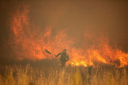 El fuego quema 70.354 hect&aacute;reas desde enero hasta el 3 de julio, casi el doble que la media del decenio