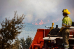 El Gobierno aprueba la declaraci&oacute;n de zona catastr&oacute;fica para las zonas afectadas por los incendios en 15 CCAA