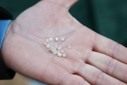 El Gobierno reclama a la Xunta una lista detallada de los medios que necesita para retirar los p&eacute;lets