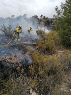  El incendio de Jumilla (Murcia) ha arrasado 400 Ha