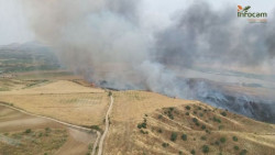 El incendio en Barrancas de Buruj&oacute;n se origin&oacute; por una cosechadora y afect&oacute; a 480 hect&aacute;reas, 130 en el parque natural