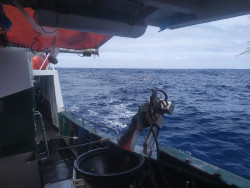 El Oceanogr&aacute;fico de Santander participa en el estudio de impacto de la pesca con palangre en los ca&ntilde;ones de Avil&eacute;s