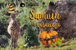 El Parque de Cab&aacute;rceno recrea un jard&iacute;n encantado para celebrar Samu&iacute;n