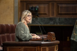 El PNV niega presiones de empresas o de Junts para hacer caer el impuesto extraordinario a energ&eacute;ticas