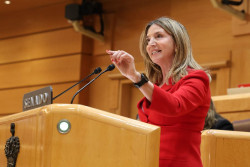 El PP instar&aacute; en el Senado al Gobierno a presentar los Presupuestos para "cumplir con la Constituci&oacute;n"