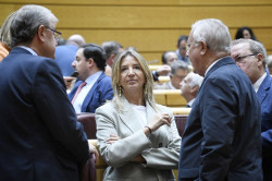 El PP pedir&aacute; la comparecencia urgente de &Oacute;scar Puente en el Senado por el "caos ferroviario"