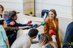  El PP vuelve a pedir al TC que se suspenda la tramitaci&oacute;n de la amnist&iacute;a hasta que se pronuncie Europa