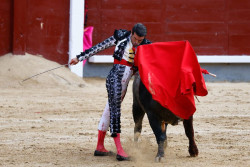 El Premio Nacional de Tauromaquia 2024 convocado por el Senado y varias CC.AA se falla ma&ntilde;ana en Toledo
